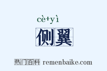 侧翼是什么意思的图片